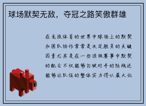 球场默契无敌，夺冠之路笑傲群雄