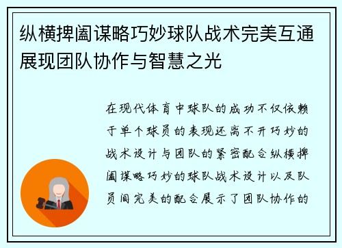 纵横捭阖谋略巧妙球队战术完美互通展现团队协作与智慧之光